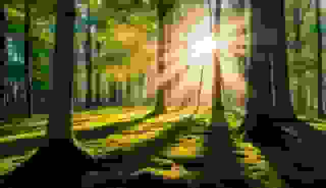 v2-po8nc-ayw4r-ezgif.com-resize.jpg