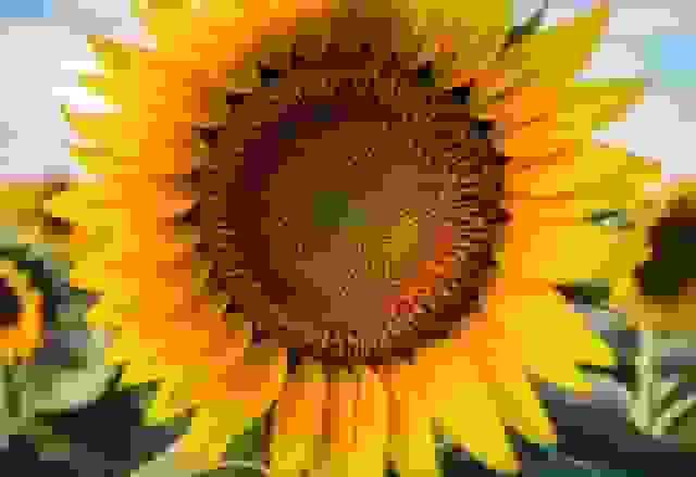 v2-po7b5-qt61b.jpg