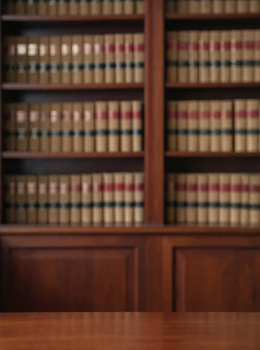 Professional headshot in a Legal setting
