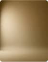 Professional headshot on a Brown studio background