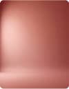Professional headshot on a Red studio background
