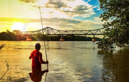 Photo of Teresina