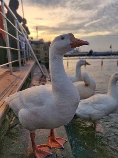 Photo of Bhopal